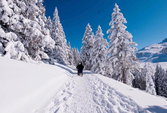 Votre Studio Balneo Bien-Etre A La Montagne Thollon-les-Memises Ngoại thất bức ảnh