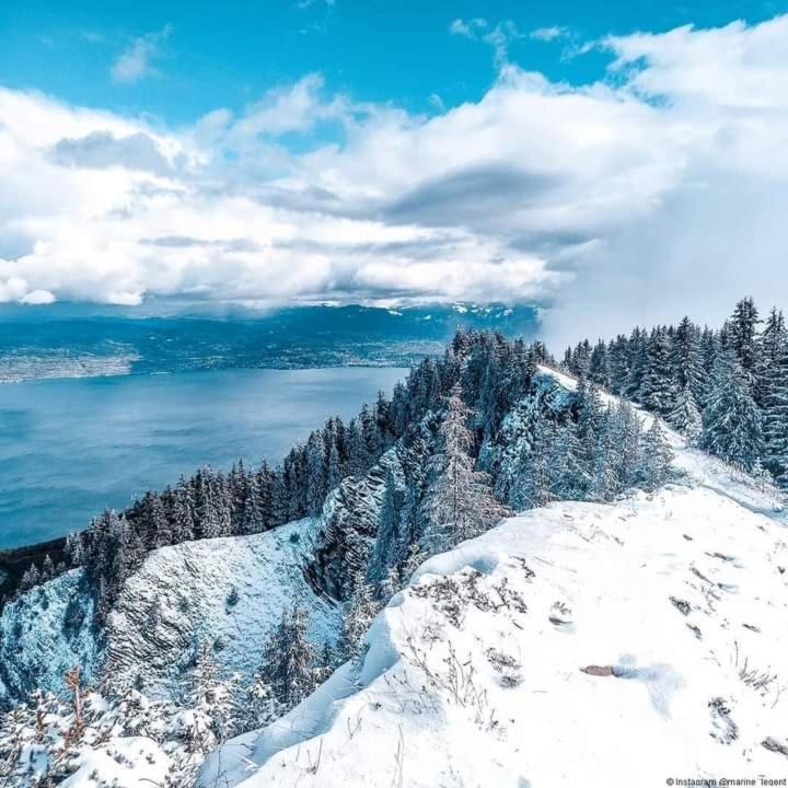 Votre Studio Balneo Bien-Etre A La Montagne Thollon-les-Memises Ngoại thất bức ảnh